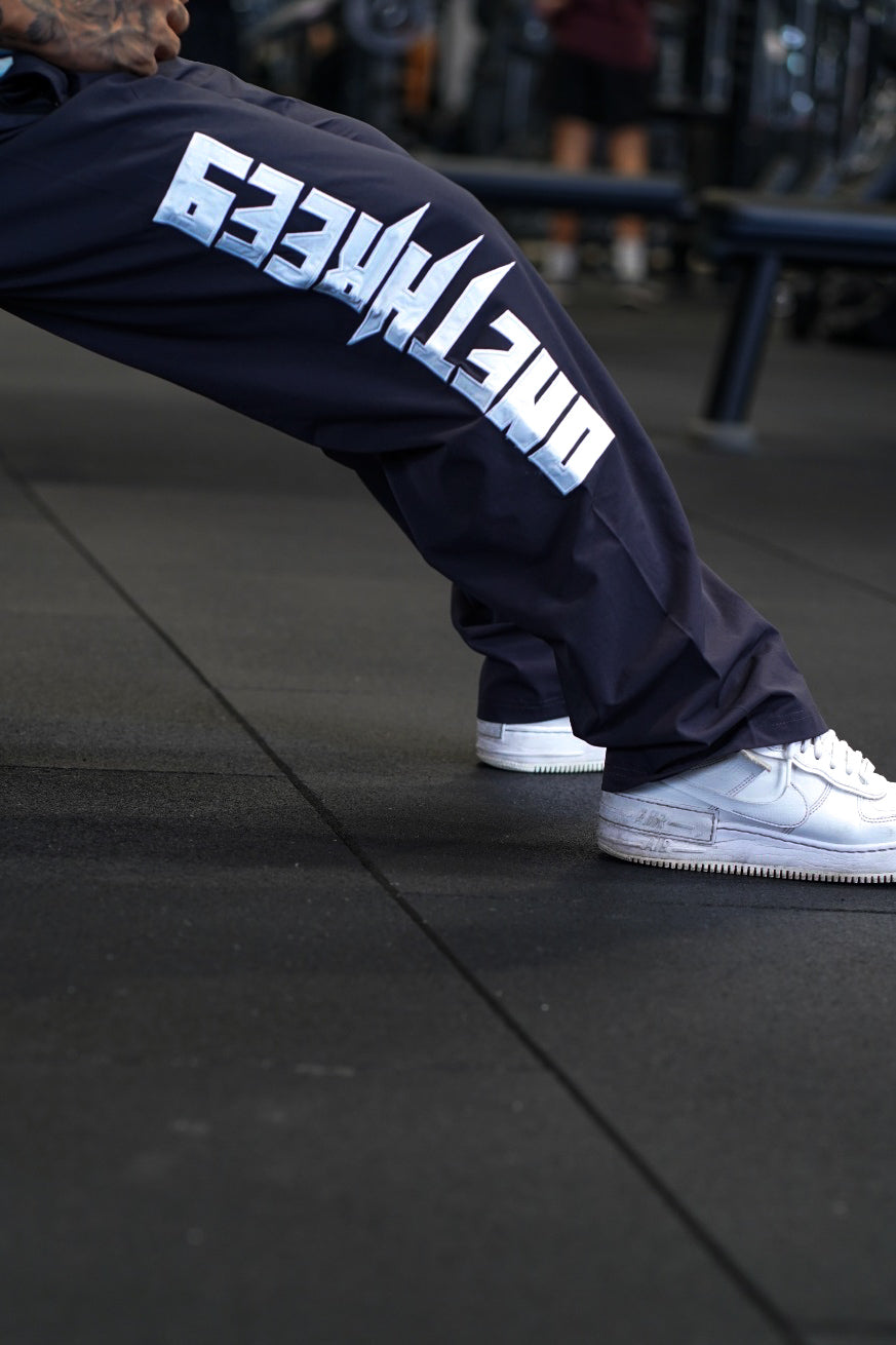 Legacy trackies (Frost)